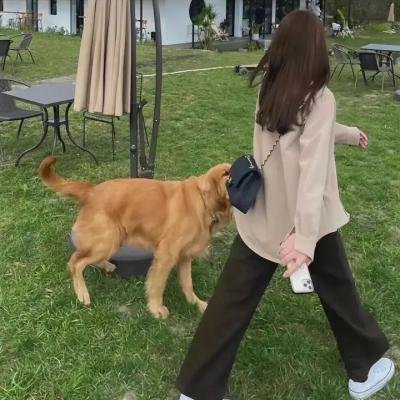 兄妹之地